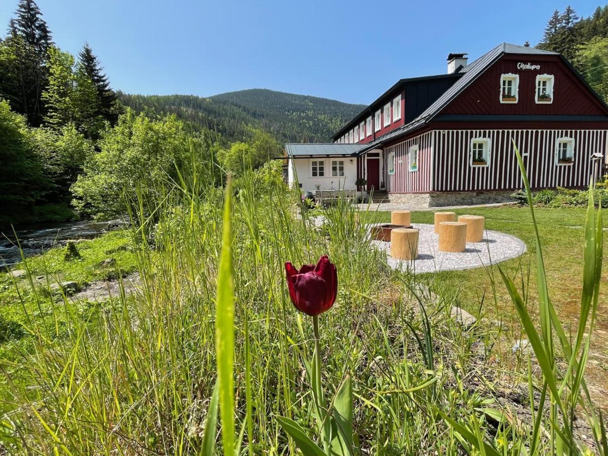 Apartmany Challupa Horni Marsov Luaran gambar